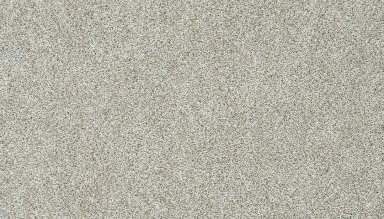 Apollo I Polyester Catalina Beige 741 Carpet Textured 1