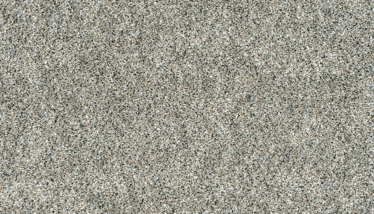 Apollo I Polyester Mountain Ledge 779 Carpet Textured 1