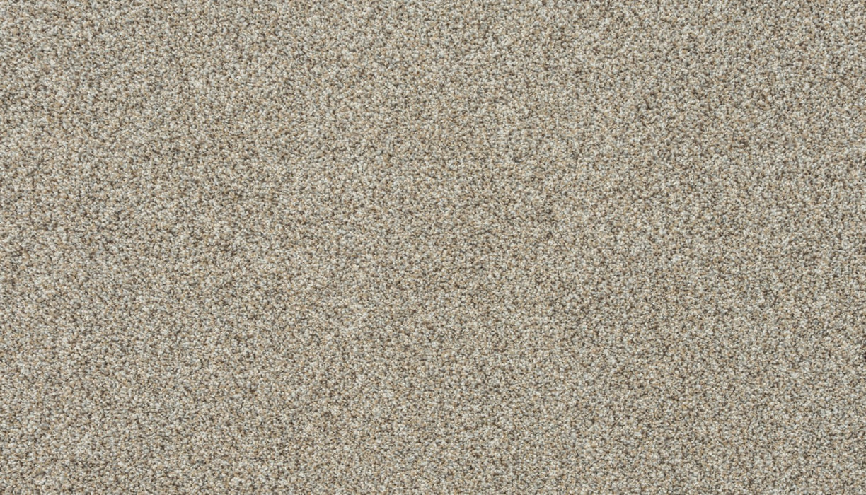 Apollo I Polyester Frosted Pewter 850 Carpet Textured 1