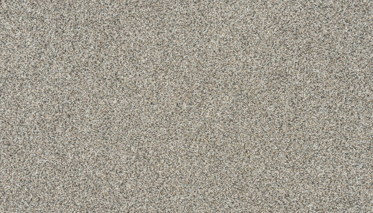 Apollo I Polyester Soft Ecru 947 Carpet Textured 1