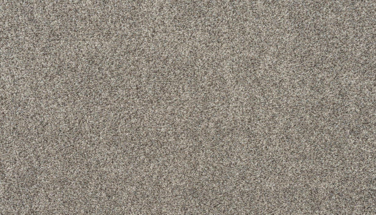 Apollo I Polyester Solar Silt 958 Carpet Textured 1