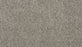 Apollo I Polyester Solar Silt 958 Carpet Textured 1