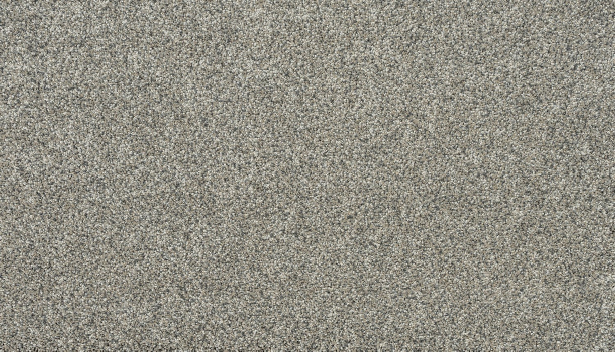 Apollo I Polyester Pebble Whisper 963 Carpet Textured 1
