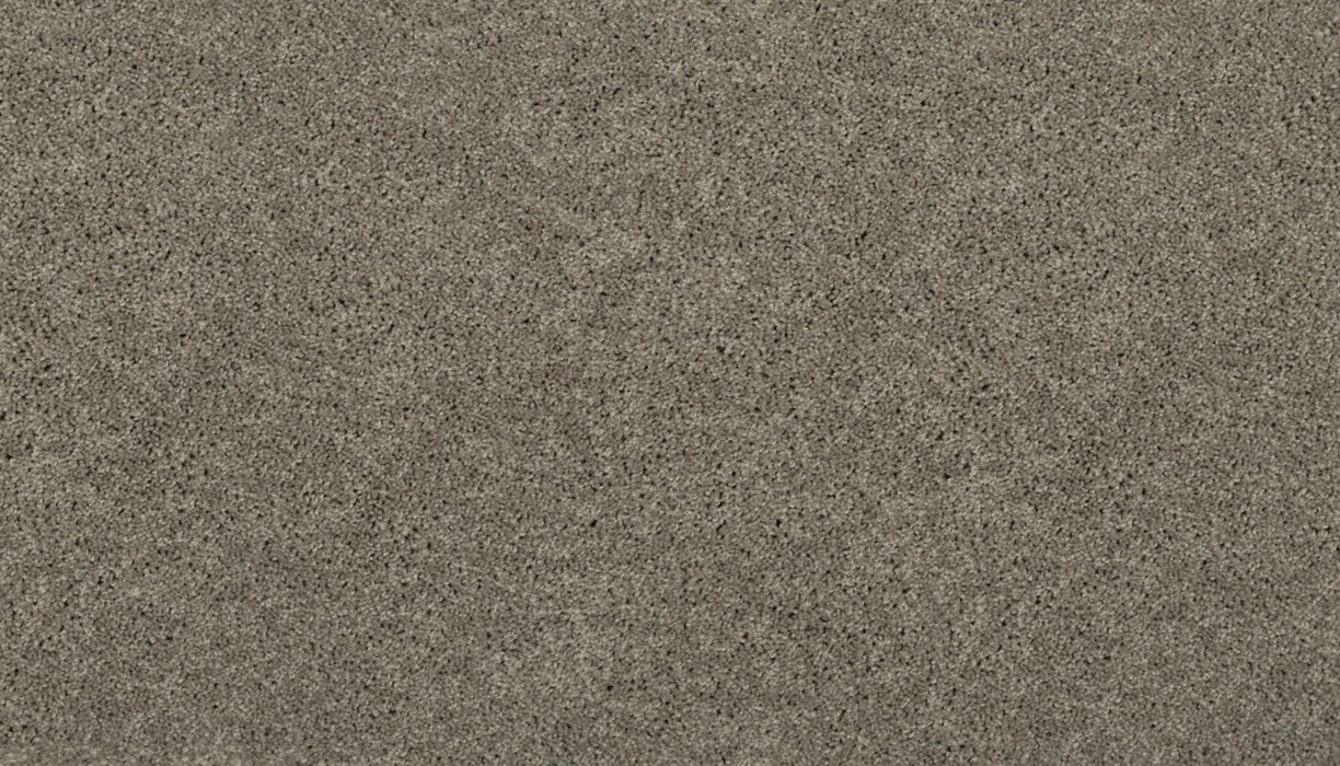Tonal Luxury II Triexta Scottish Fog 929 Carpet Textured 1