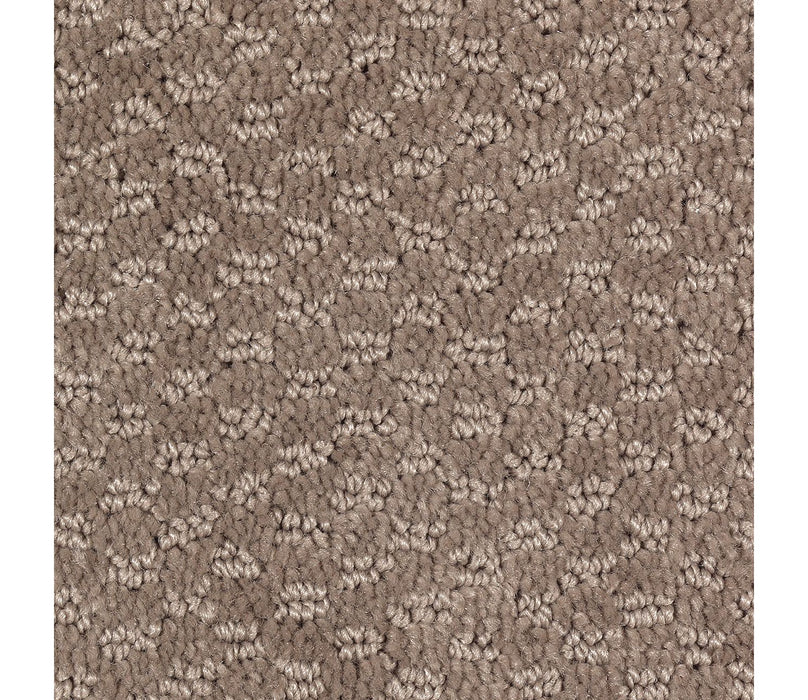 Graceful Manner Triexta Bungalow 510 Carpet Pattern 1