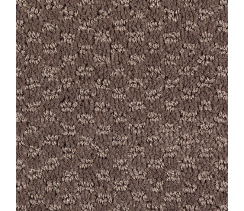 Graceful Manner Triexta Sequoia 505 Carpet Pattern 1