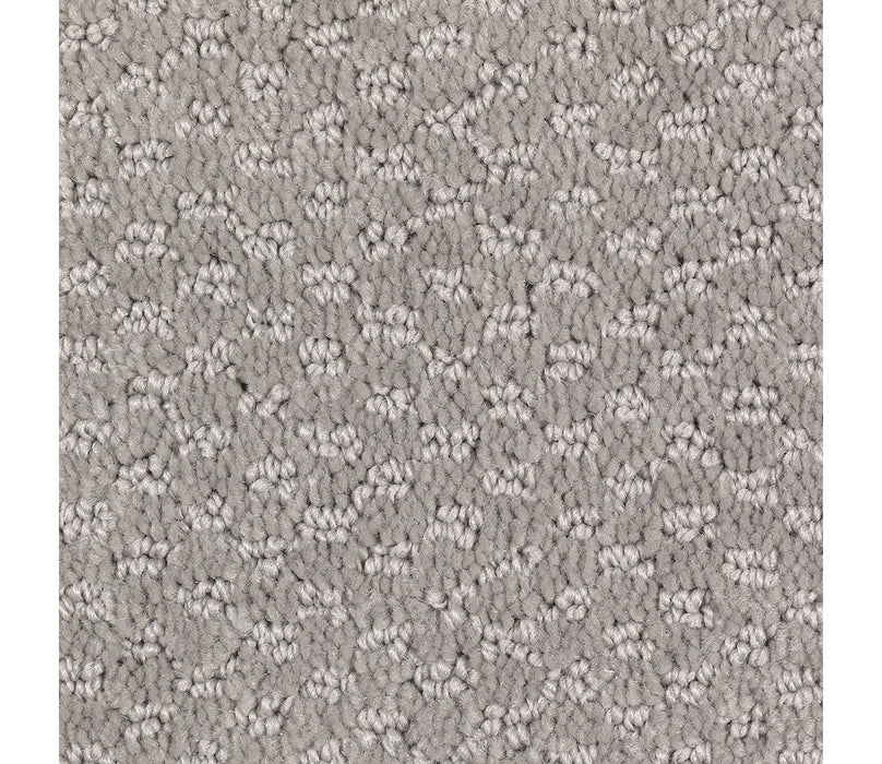 Graceful Manner Triexta Cloudy Day 512 Carpet Pattern 1