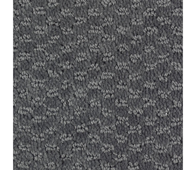 Graceful Manner Triexta Ironstone 502 Carpet Pattern 1