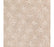 Design Inspiration Triexta Ivory Tusk 519 Carpet Pattern 1