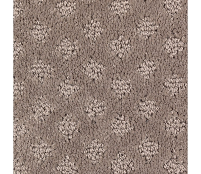 Design Inspiration Triexta Allspice 508 Carpet Pattern 1