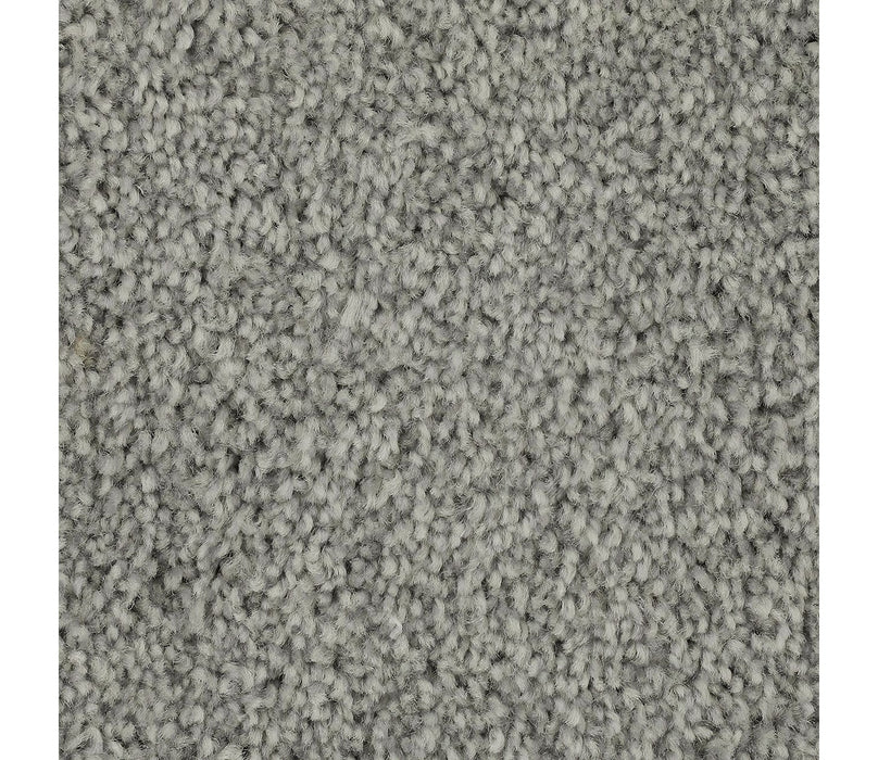 Effortless Choice Triexta Airy 564 Carpet Textured 1