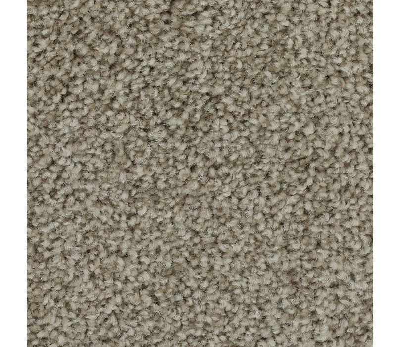 Effortless Choice Triexta Stellar 567 Carpet Textured 1