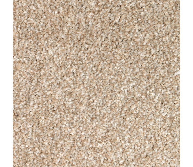True Harmony Triexta Harmony 761 Carpet Textured 1