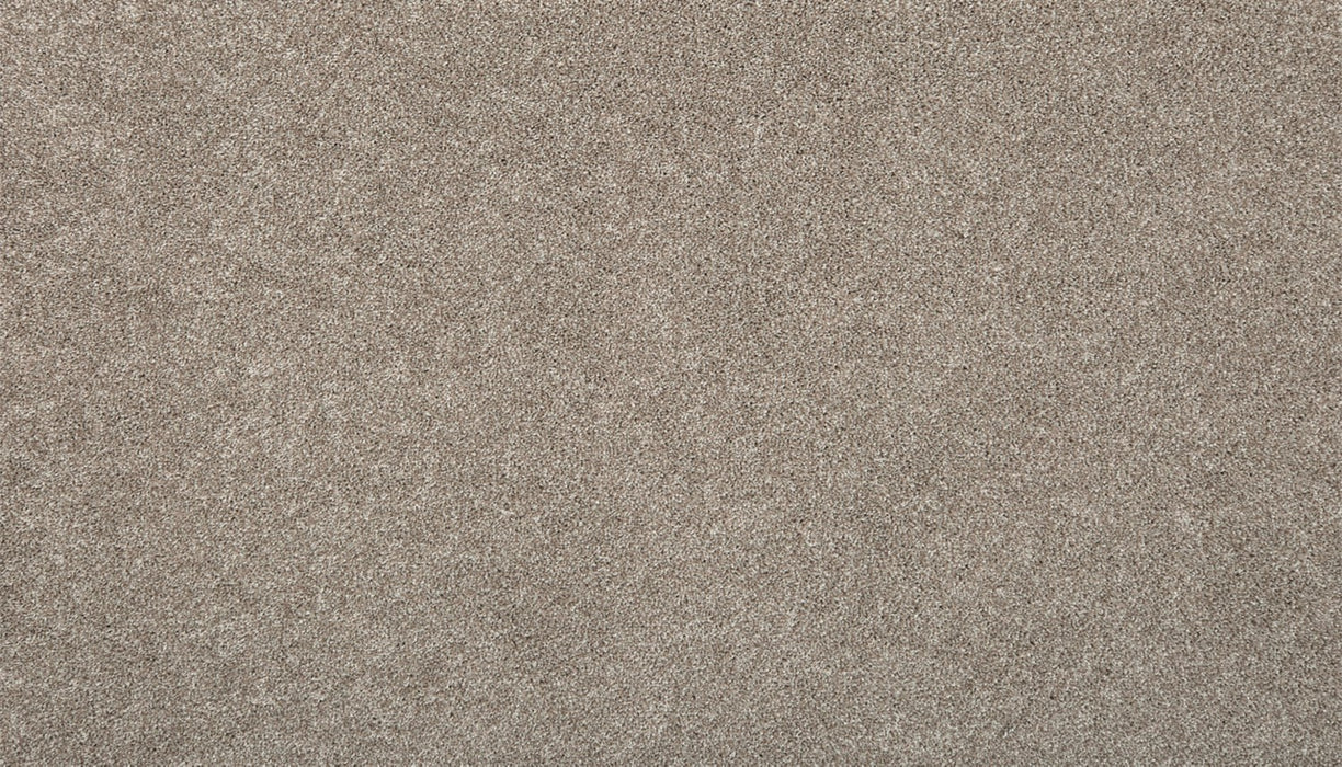 True Harmony Triexta Ancestral 829 Carpet Textured 1