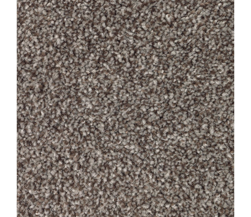 True Harmony Triexta Druid 885 Carpet Textured 1