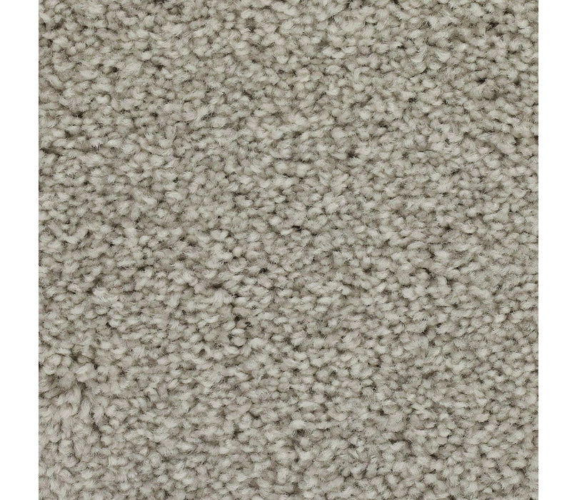 Effortless Choice Triexta Ice Grey 565 Carpet Textured 1