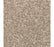 True Unity Triexta Shadywood 776 Carpet Textured 1