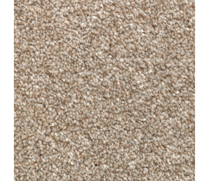 True Unity Triexta Shadywood 776 Carpet Textured 1
