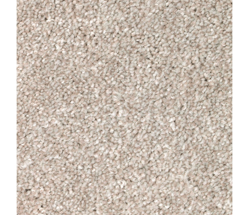 Polished Shades I Triexta Cypress 807 Carpet Textured 1