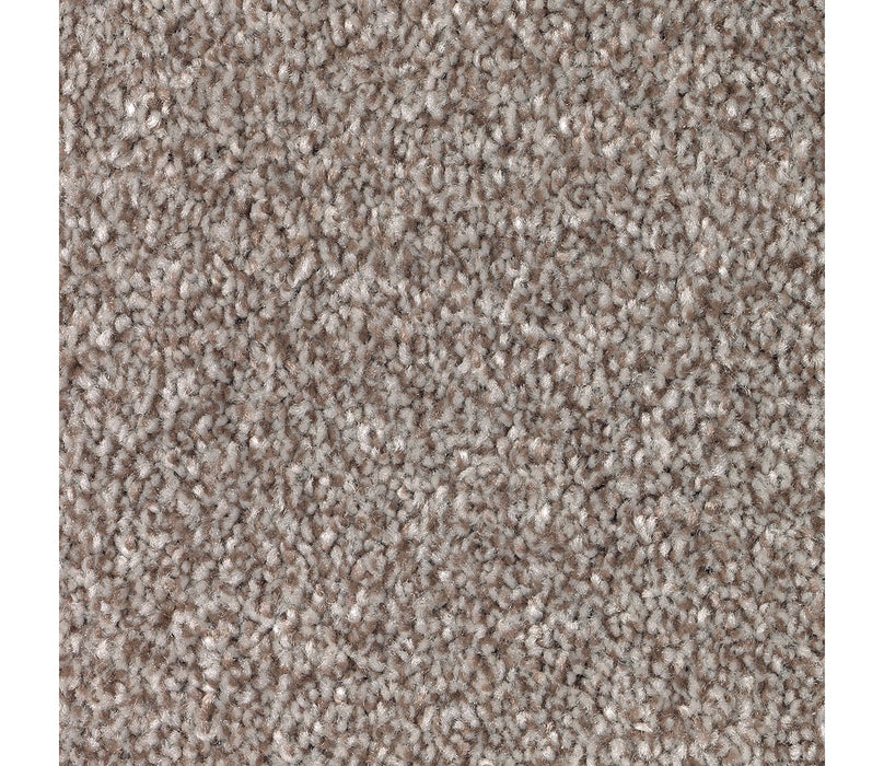 True Unity Triexta Mystic 838 Carpet Textured 1