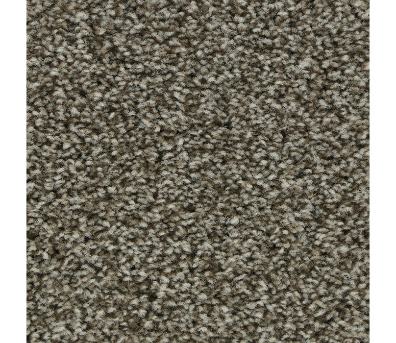 Polished Shades I Triexta Native Soul 868 Carpet Textured 1