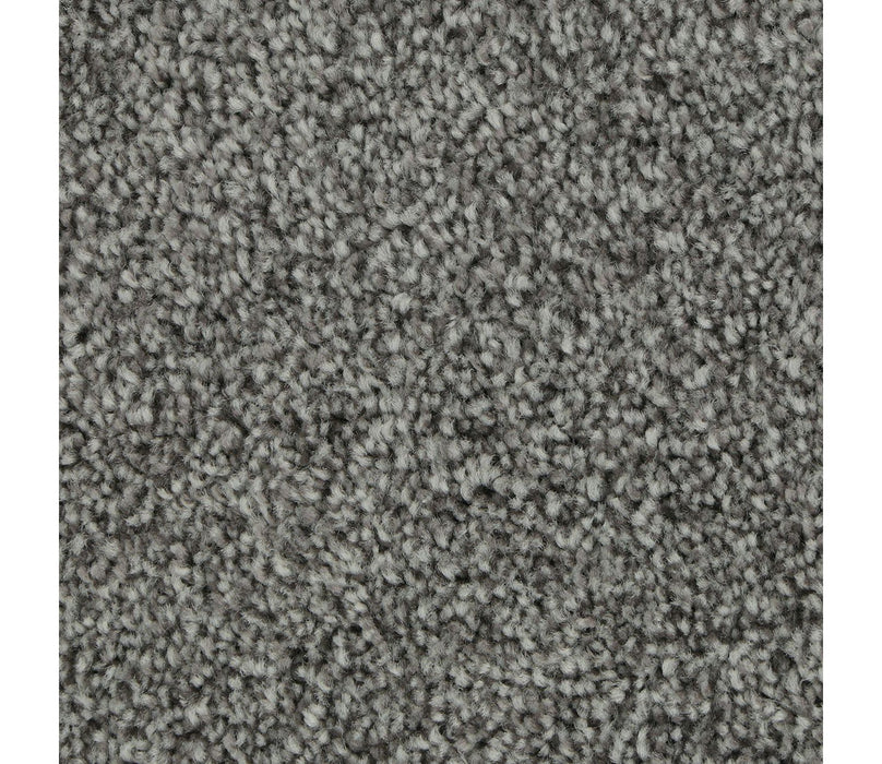 Polished Shades I Triexta Soft Smoke 955 Carpet Textured 1