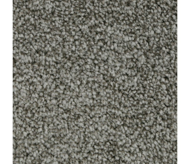 Polished Shades I Triexta Truffle 968 Carpet Textured 1