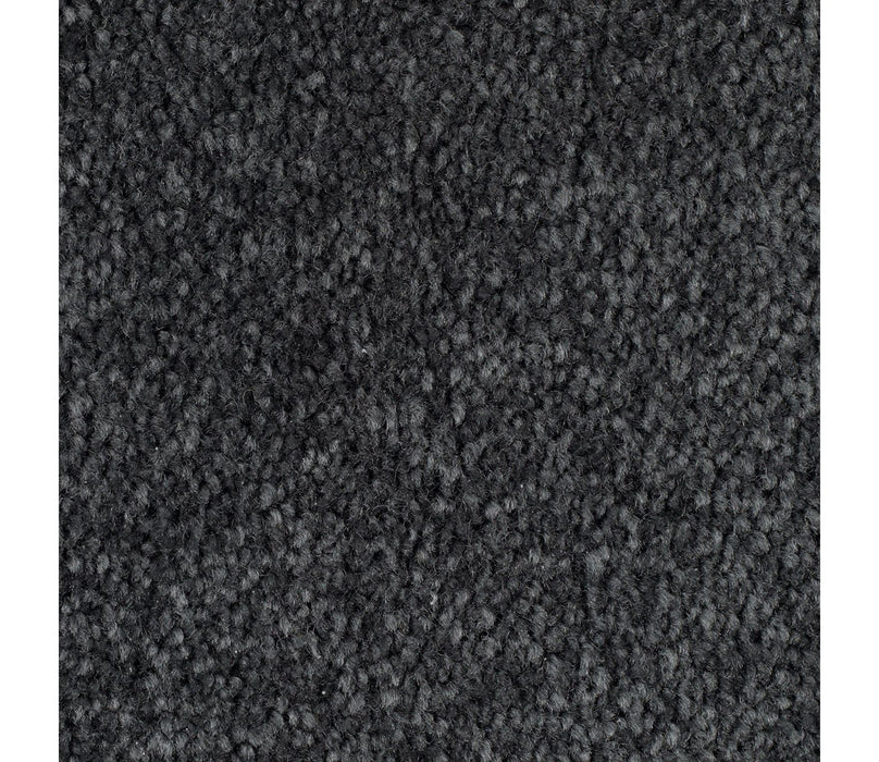 Homefront I Triexta Cove Blue 578 Carpet Textured 1