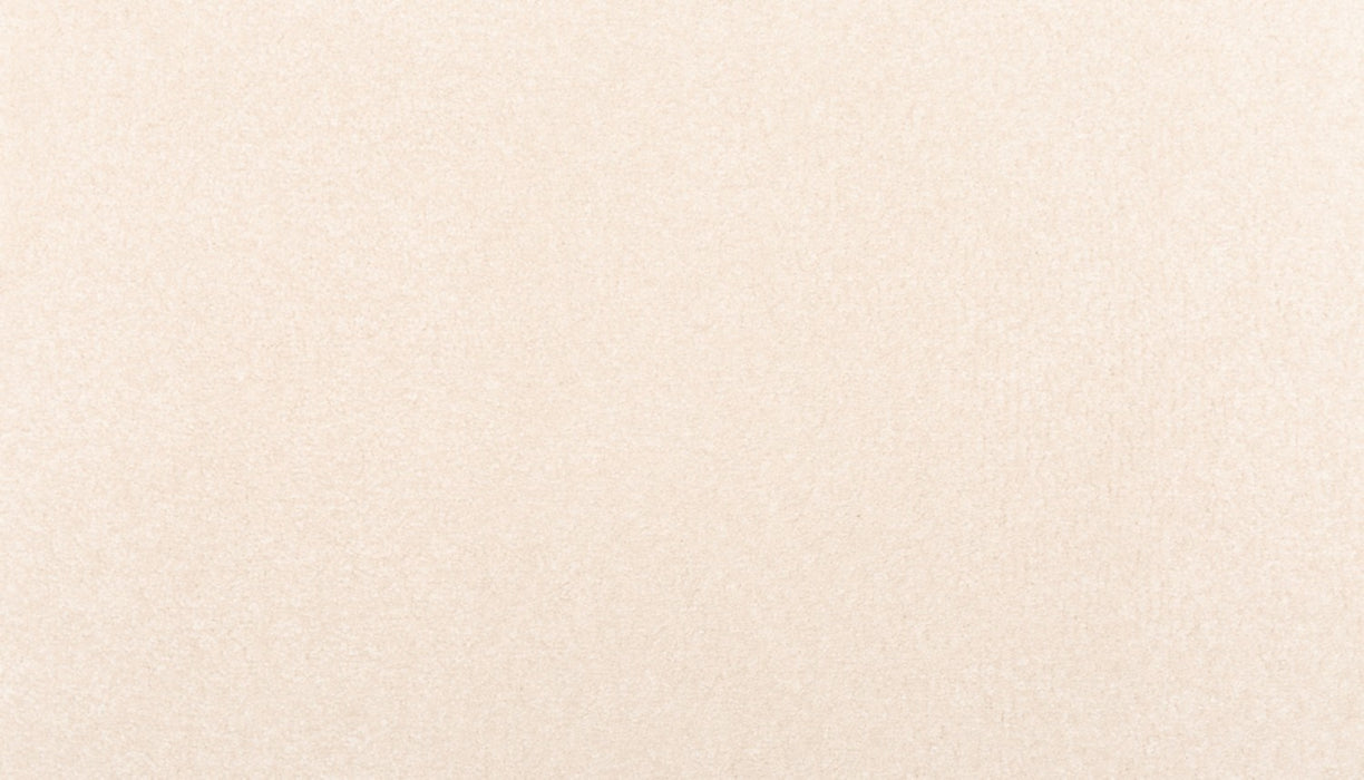 Homefront I Triexta Lucky Pearl 707 Carpet Textured 1