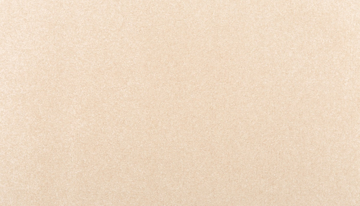 Homefront I Triexta Champagne Bubble 736 Carpet Textured 1