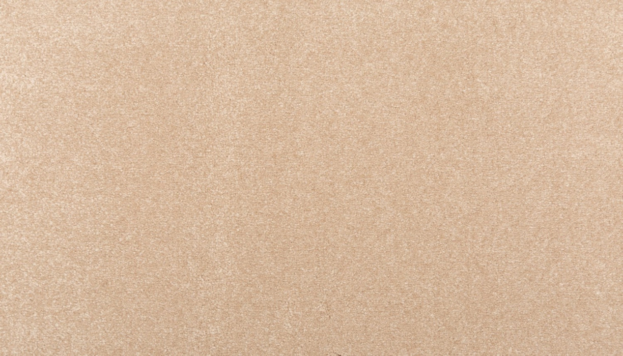 Homefront I Triexta Light Antique 768 Carpet Textured 1