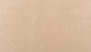Homefront I Triexta Light Antique 768 Carpet Textured 1