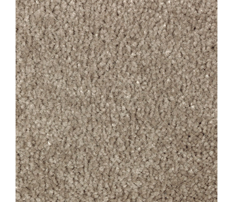 Homefront I Triexta Teak 840 Carpet Textured 1