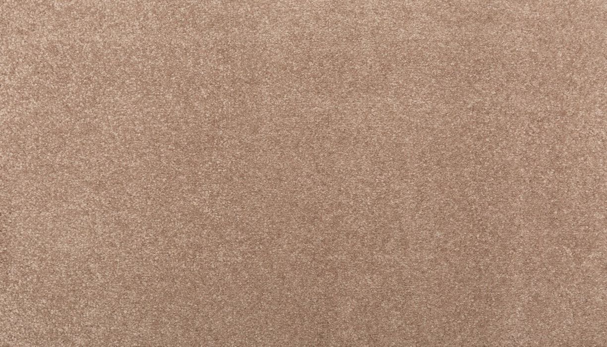 Homefront I Triexta Desert Mud 848 Carpet Textured 1