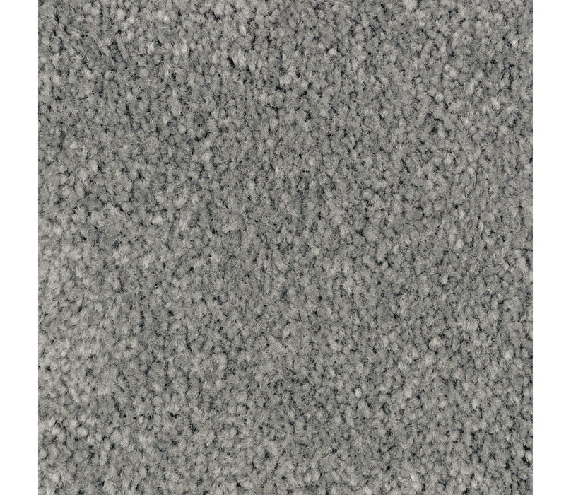 Homefront II Triexta Michelangelo 549 Carpet Textured 1