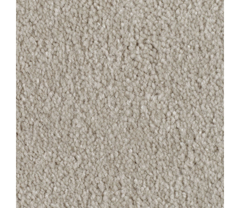 Homefront II Triexta Quiet Eloquence 746 Carpet Textured 1