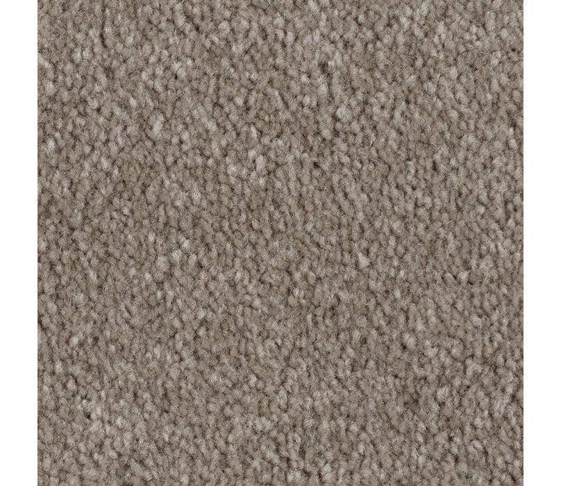 Homefront II Triexta Wool Socks 769 Carpet Textured 1