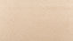 Homefront II Triexta Honeywood 826 Carpet Textured 1