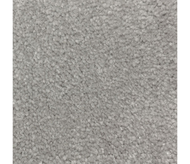 Homefront II Triexta Aspen Summit 949 Carpet Textured 1
