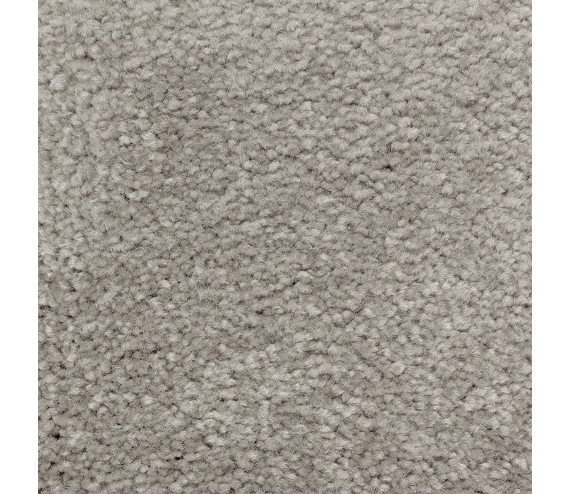Homefront II Triexta Foil 955 Carpet Textured 1
