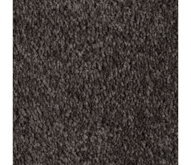 Homefront II Triexta Meteorite 984 Carpet Textured 1