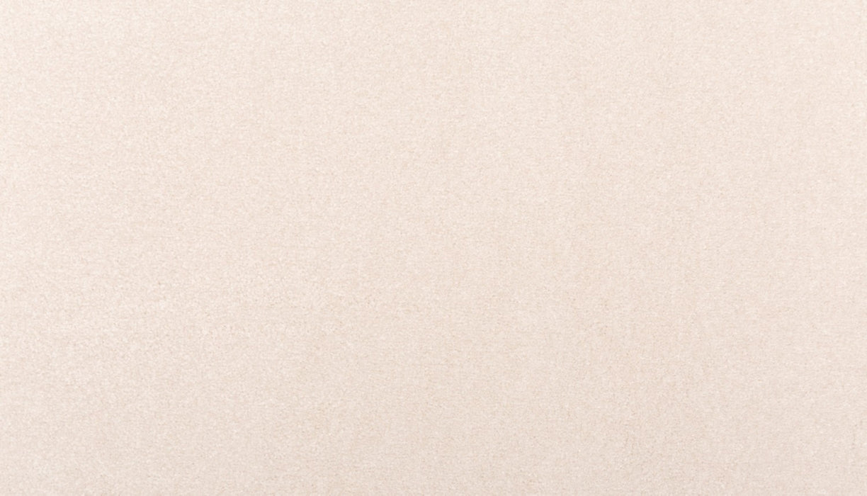 Homemade III Triexta Quiet Light 729 Carpet Textured 1