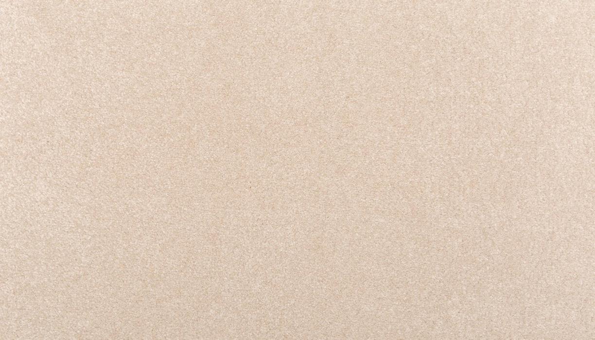 Homemade III Triexta Moon Glow 730 Carpet Textured 1