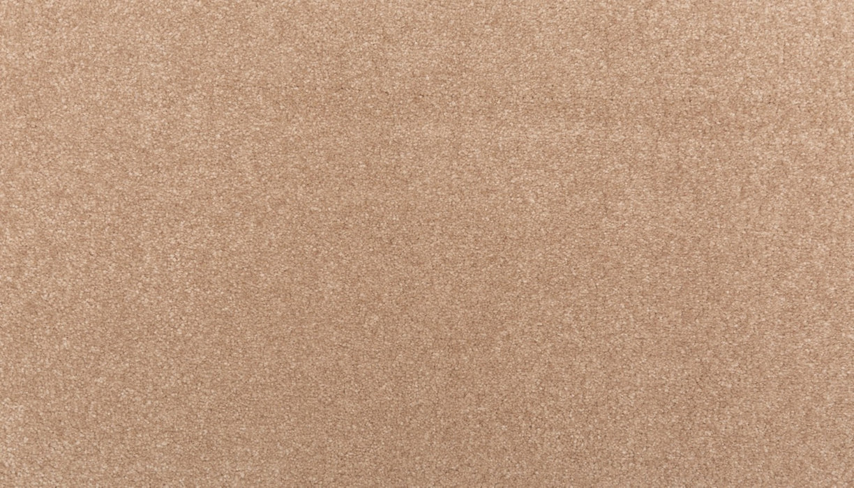 Homemade III Triexta Spiced Tea 864 Carpet Textured 1