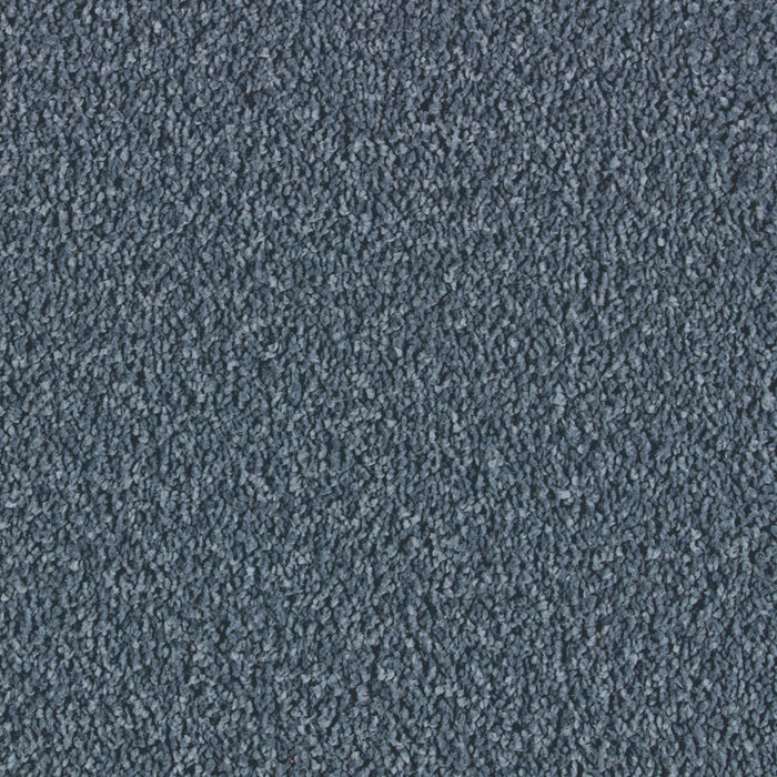 Exquisite Beauty Triexta Royal 543 Carpet Textured 1