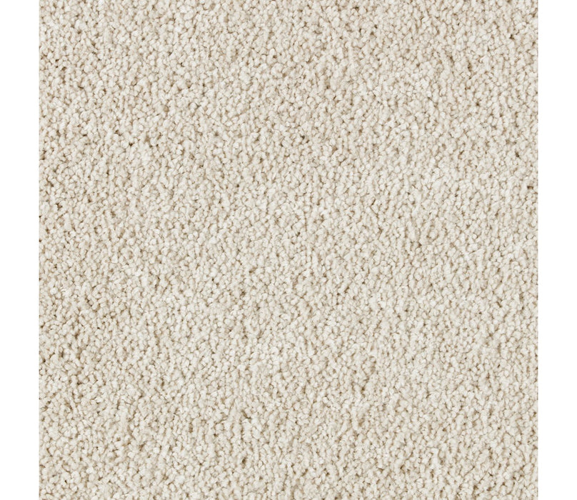Exquisite Beauty Triexta Luminescence 530 Carpet Textured 1