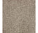Exquisite Beauty Triexta Plantation 547 Carpet Textured 1