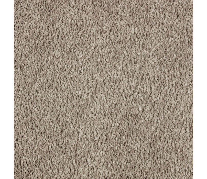 Exquisite Beauty Triexta Plantation 547 Carpet Textured 1