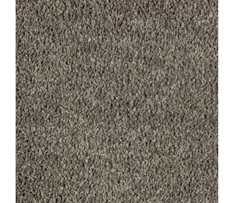 Exquisite Beauty Triexta Garden Bramble 546 Carpet Textured 1