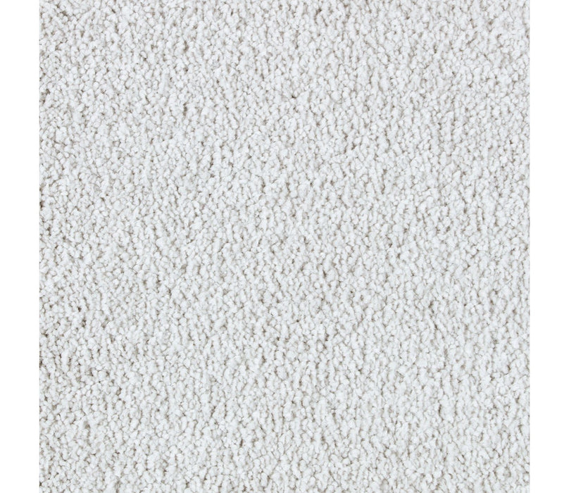 Exquisite Beauty Triexta Evening Eclipse 504 Carpet Textured 1